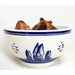 Indoor Growing Kit with Delft Ceramic Bowl, 3 Paperwhite Narcissus Bulbs - Caribbeangardenseed