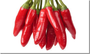 APACHE PEPPER SEED, Capsicum annuum, HOT - Caribbeangardenseed