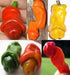 Peter Pepper Seeds (Capsicum annuum) Mixed Color - Caribbeangardenseed