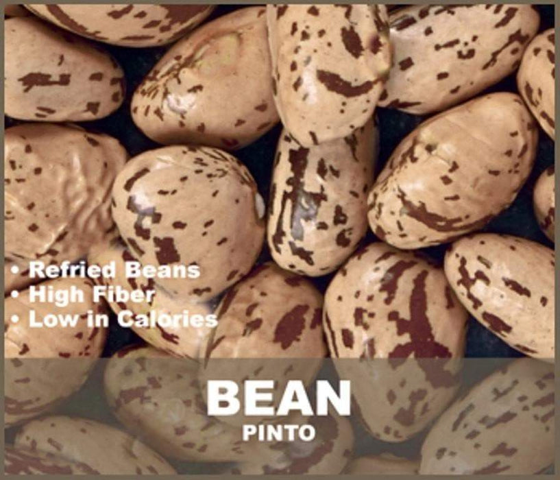 Pinto Bean Seeds ,Grow Pinto beans - Caribbeangardenseed