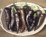 MARCONI PURPLE , Italian Pepper SEEDS-Capsicum annuum , - Caribbeangardenseed
