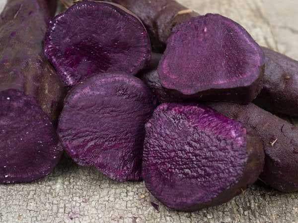 Purple Sweet Potato (Tuber). Hawaii Purple Potato. Stores well. - Caribbeangardenseed