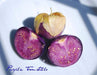 Purple Tomatillo Seeds - Physalis ixocarpa - Open Pollinated ,Annual Vegetable - Caribbeangardenseed
