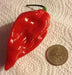 Red Fatalii Chili ,Hot Pepper Seed,( Capsicum chinense) - Caribbeangardenseed