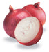 Red Grano Onion Seed, (Short Day Onion- Plant Spring, Summer or Fall ! - Caribbeangardenseed