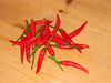 Chile de Arbol, Red Hot Chili Pepper Seeds ,capsicum annuum - Caribbeangardenseed