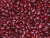Red Pearl Bean Phaseolus vulgaris-Very Rare Heirloom-Open pollinated. - Caribbeangardenseed