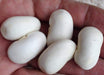 Shirohana-mame, Japanese White Flower Bean,Asian Vegetable - Caribbeangardenseed
