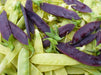 Snow peas- Purple Pods -Beautiful edible podded - Caribbeangardenseed