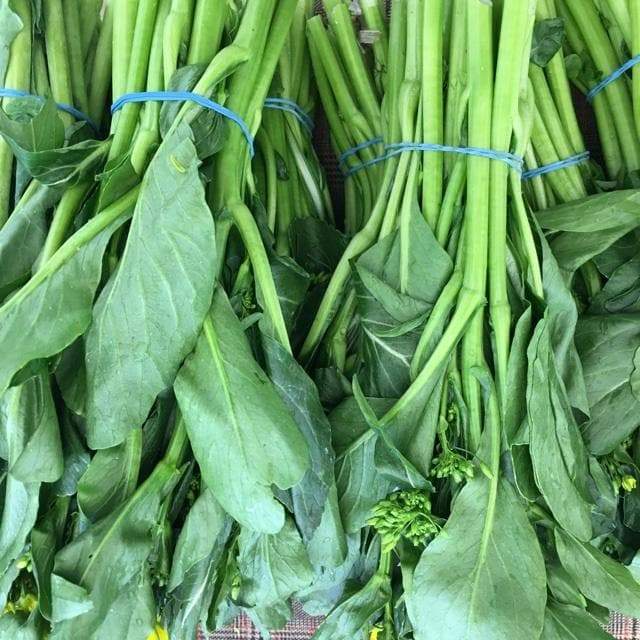 Cantonese pak choy Seeds - Asian Vegetables, - Caribbeangardenseed