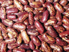 Spanish Tolosana Bean Seeds a.K.a , Prince bean, Phaseolus vulgaris-, Heirloom Red Bush Bean! - Caribbeangardenseed