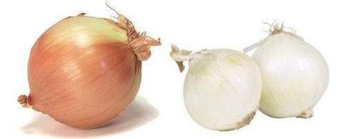 Granulated Onion, excellent in rubs - Caribbeangardenseed