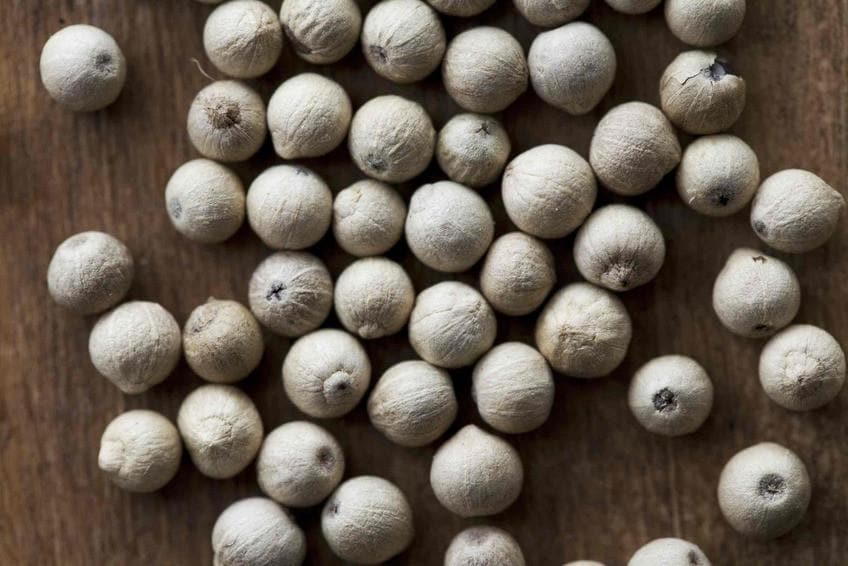 White Pepper Whole - Caribbeangardenseed