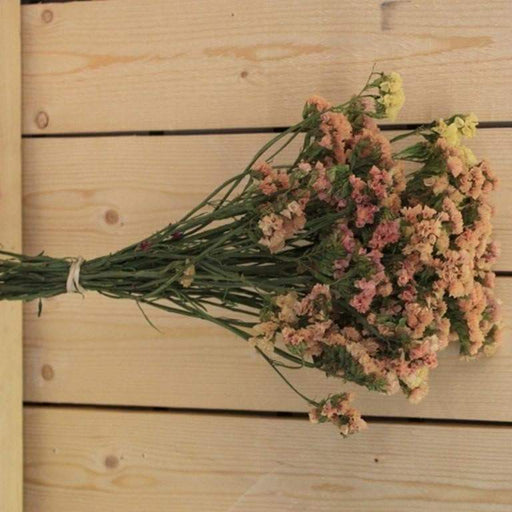 Statice Seeds - Apricot (Limonium Sinuatum Apricot Beauty) Great For Cut Flowers ! - Caribbeangardenseed