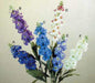 Stock Blue - SEEDS (Matthiola Incana Ten Week Blue) ANNUAL FLOWERS - Caribbeangardenseed