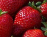 STRAWBERRY SEEDS (Fragaria ananassa) bright red fruit has great flavor (Organic seeds) - Perennial ! - Caribbeangardenseed