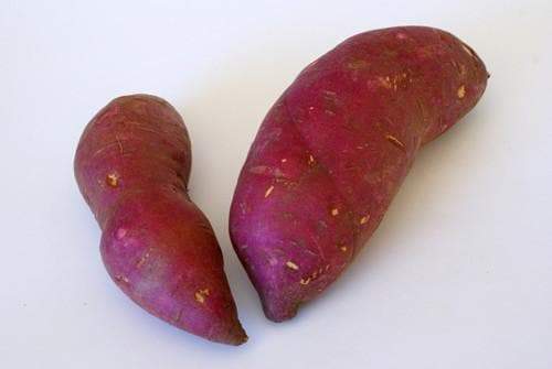 fresh Oriental sweet potatoes (Tuber) Japanese yam, Asian produce - Caribbeangardenseed