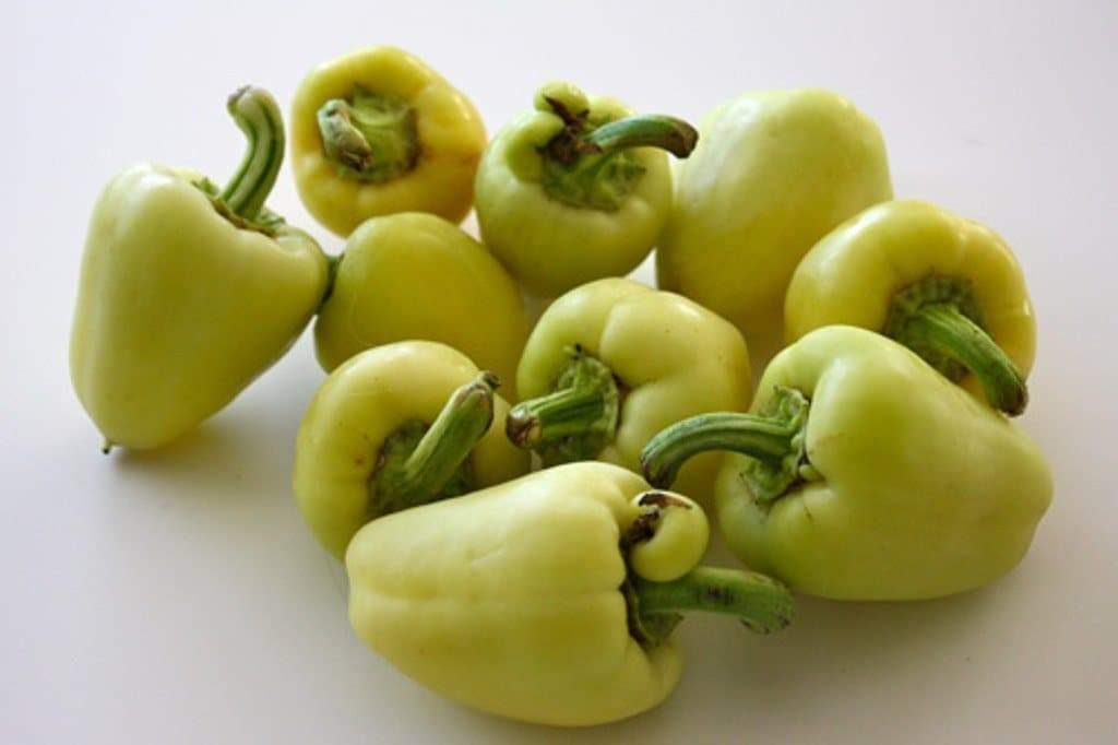 Sweet pepper 'Antohi Romanian' Frying Pepper,(Capsicum Annuum) Heirloom,Organically Grown ! - Caribbeangardenseed