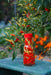 Tabasco Pepper SEEDS (Capsicum frutescens) - Caribbeangardenseed
