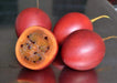 Tamarillo Seeds a.k.a.Tree Tomato Organic, NON-GMO Seeds - Caribbeangardenseed