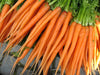 Tendensweet Carrot Seeds,Biannual,Heirloom,Non-Hybrid,Non-GMO ,Biannual Vegetable, AAS WINNER, - Caribbeangardenseed