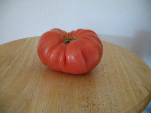 Tomato Seeds - ' Ponderosa Red OG' aka Ponderosa Scarlet, heirloom tomato - Open Pollinated,SWEET & JUICY - Caribbeangardenseed