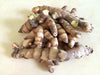 Turmeric, White Variety (rhizome) extremely rare, Plant Grows Indoors or Outdoors - Caribbeangardenseed