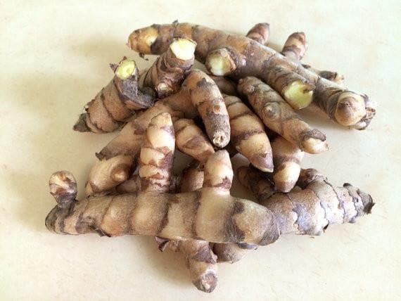 Turmeric, White Variety (rhizome) extremely rare, Plant Grows Indoors or Outdoors - Caribbeangardenseed