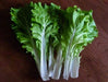 Fun Jen" frilly leaf pak choi or "Bok Choy" Chinese Cabbage ! Asian Vegetables - Caribbeangardenseed