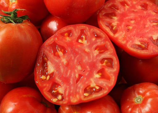 Beefmaster Hybrid Tomato Seeds - Caribbeangardenseed