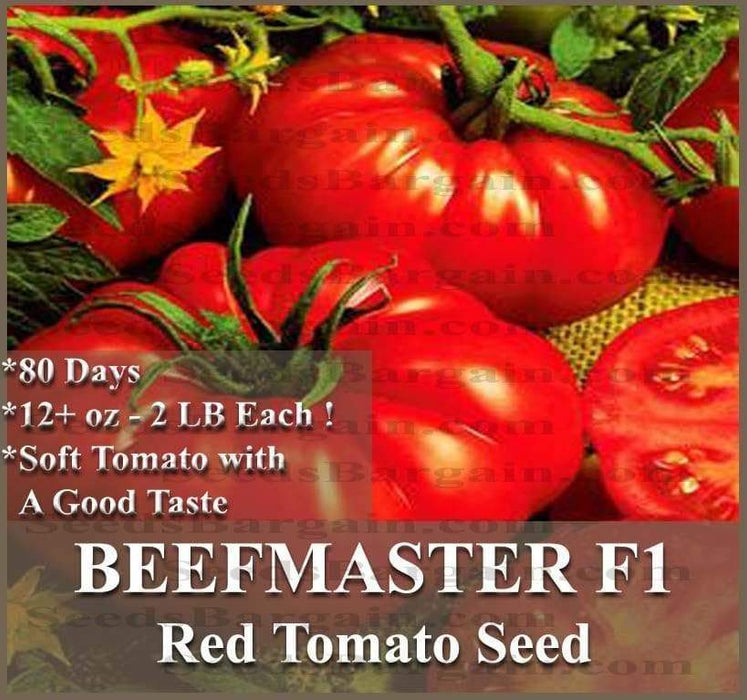 Beefmaster Hybrid Tomato Seeds - Caribbeangardenseed