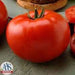 Big Beef Tomato Seeds (F1 Hybrid) ALL-AMERICA SELECTIONS AWARD - Caribbeangardenseed
