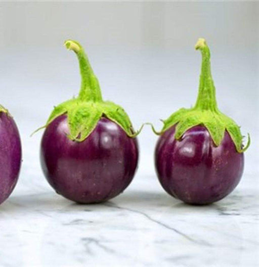 Round Purple" Thai Baby Eggplant Seeds " . Asian Vegetable - Caribbeangardenseed