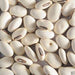 Japanese Sword Bean Seeds - White - Shironata Mame - Caribbeangardenseed