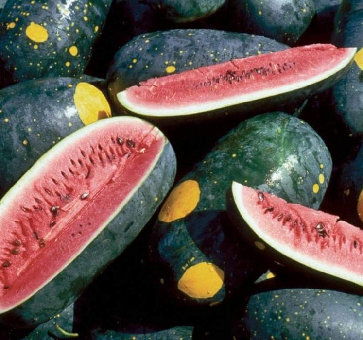 Watermelon seeds -- Moon & Stars - Red ~ Certified Organic ~ Non-GMO Heirloom Seeds - Caribbeangardenseed