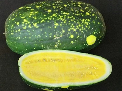 Moon & Stars-Yellow Watermelon seeds ,Certified Organic ,Non-GMO Heirloom - Caribbeangardenseed
