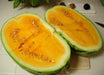 Tendersweet Orange, Watermelon SEEDS, ANNUAL VINE VEGETABLE - Caribbeangardenseed