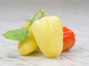 10 Albino Bullnose sweet bell pepper, Capsicum Annum - Caribbeangardenseed