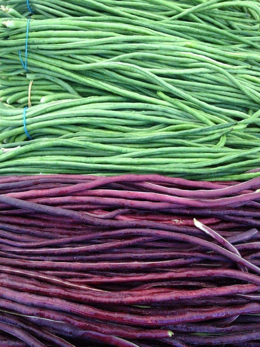 Yard Long Bean, Purple Mart - Tsu In (Pole Bean,) Asian Vegetable, - Caribbeangardenseed