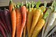 SOLAR Yellow Carrot Seeds (Daucus carota ) Heirloom Vegetable! - Caribbeangardenseed