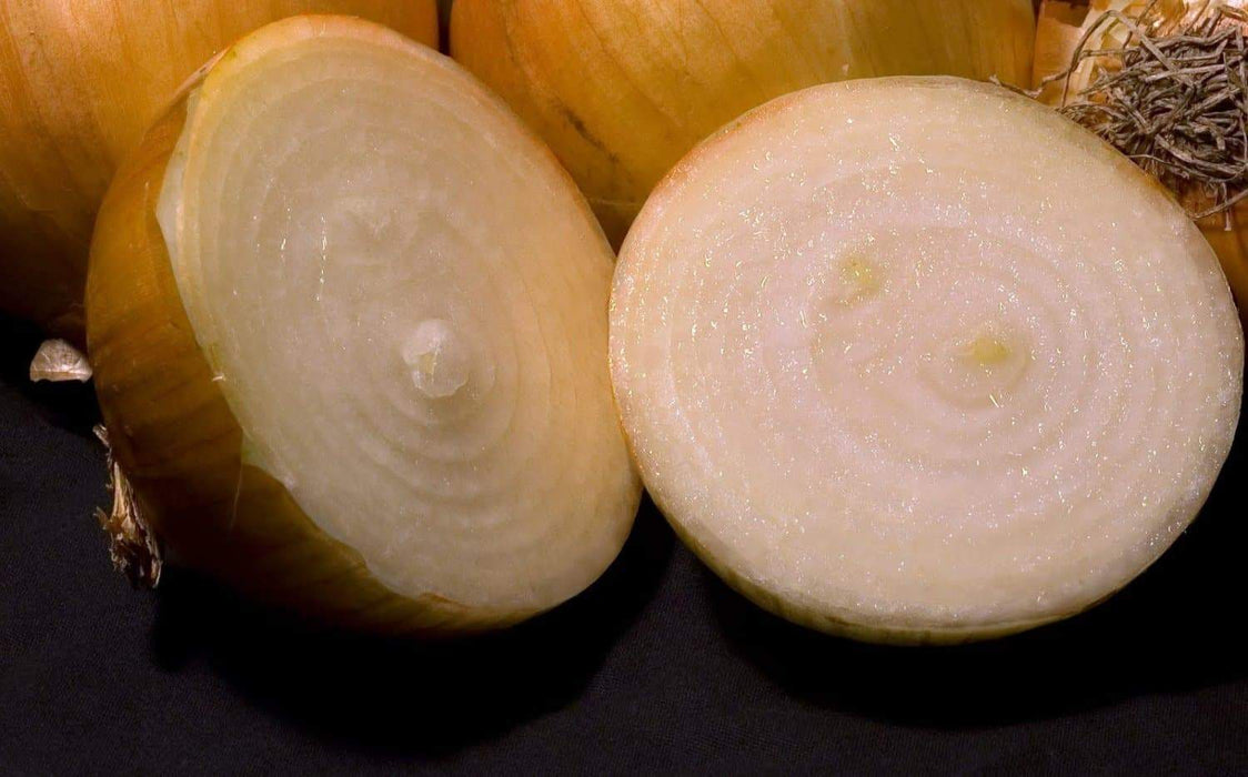 Texas Early Grano 502 PRR Onion seeds - Caribbeangardenseed