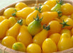 Yellow Pear tears drops Tomato SEEDS,(Lycopersicon lycopersicum ) Open Pollinated! - Caribbeangardenseed
