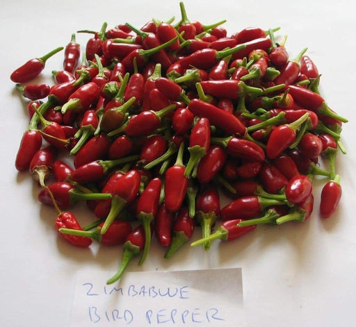 Zimbabwe Birds Pepper seeds (Capsicum Annum) AlKA,Piri Piri,VERY HOT, - Caribbeangardenseed